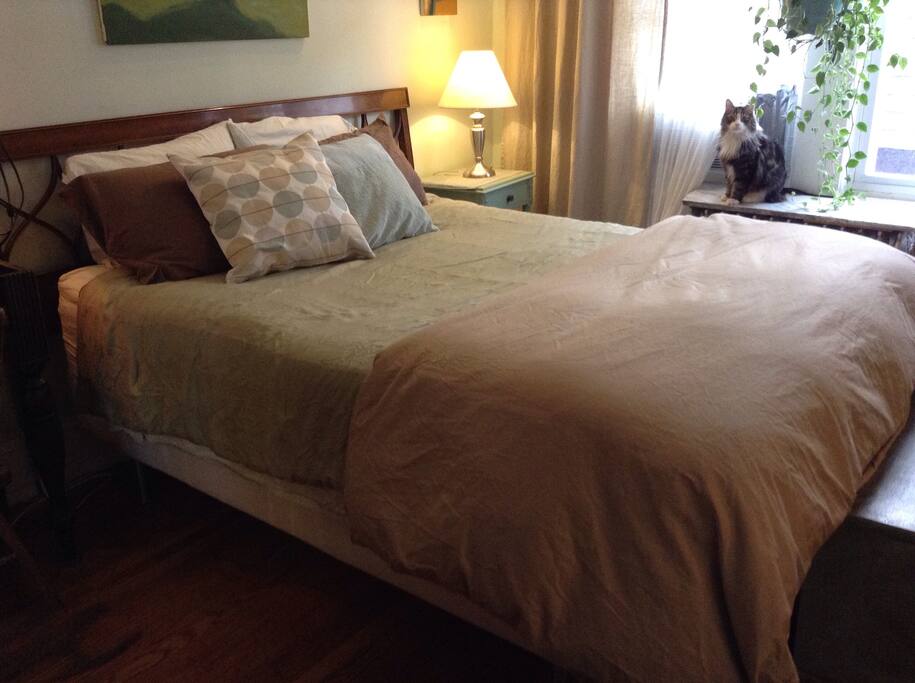 The double window provides lots of bright filtered light throughout the day.