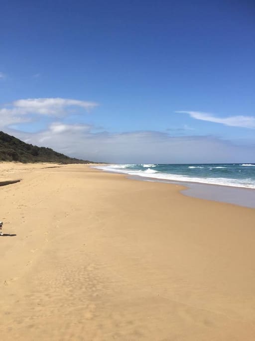 Beach across the road