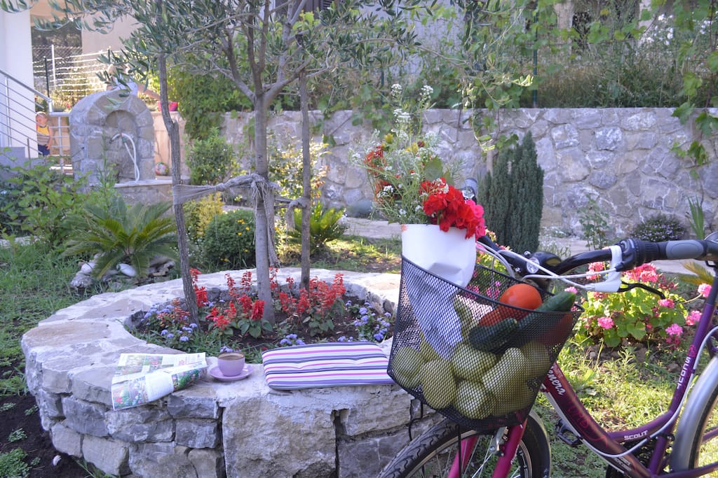 garden in front of villa