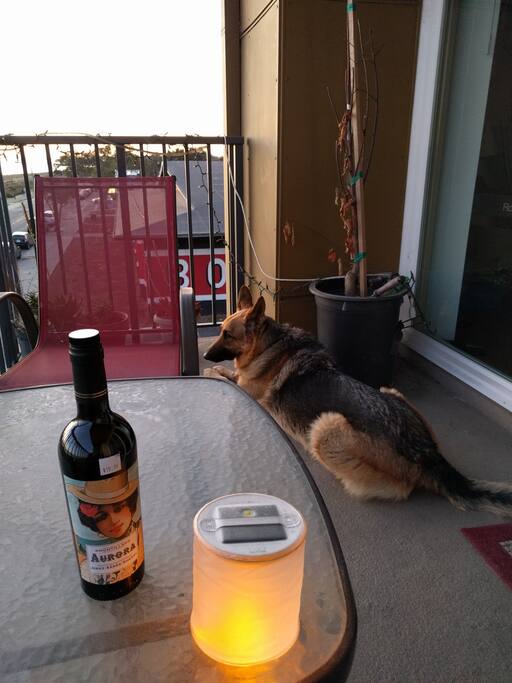 Dog will not be present until Sat or Sun