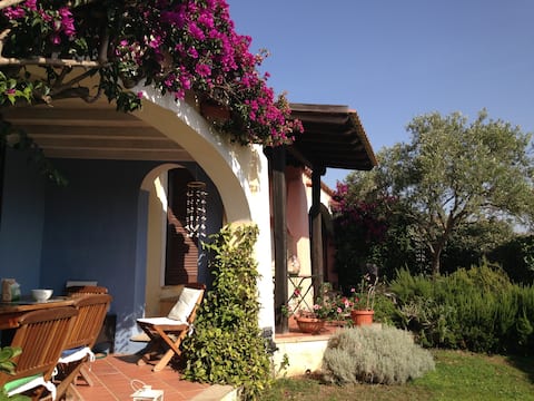Elicriso. Villa overlooking Tavolara. Common pool