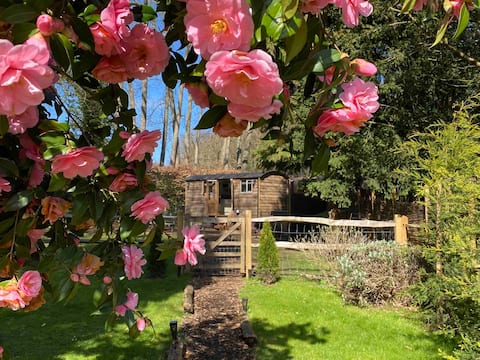 Luxury Shepherds Hut & Hot Tub in the Surrey Hills