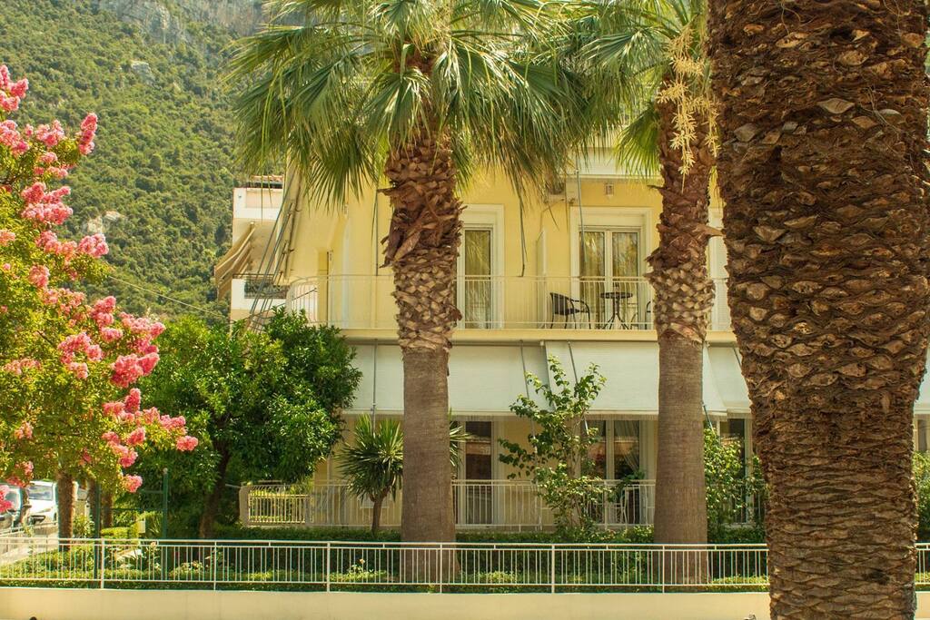Εξωτερικό κτιρίου - External view