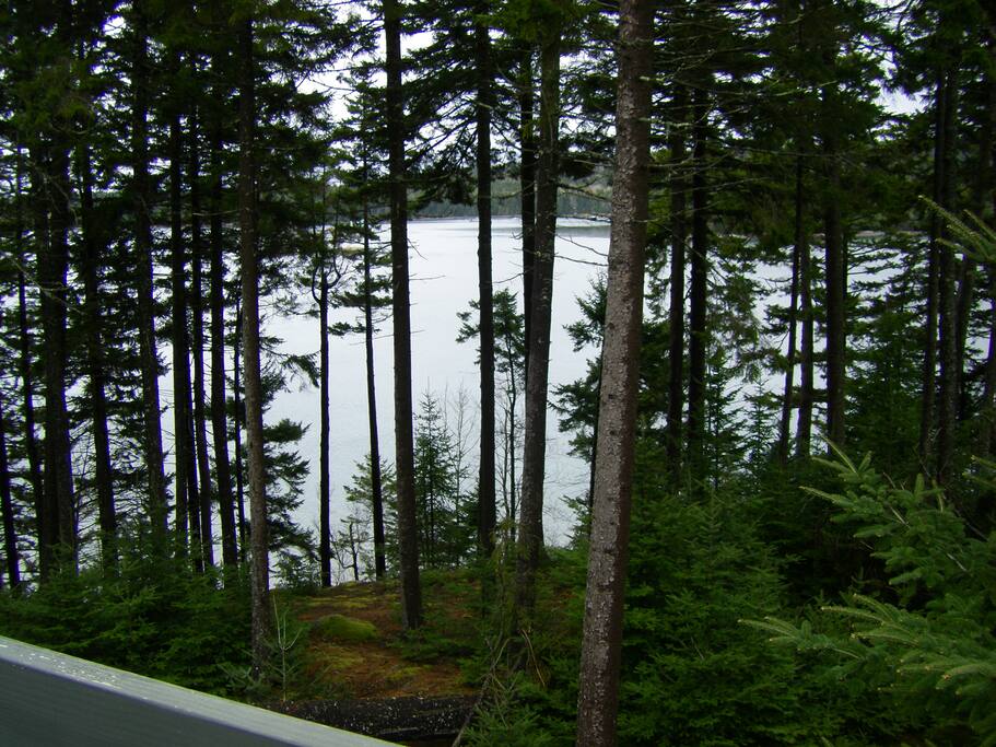The view from the deck