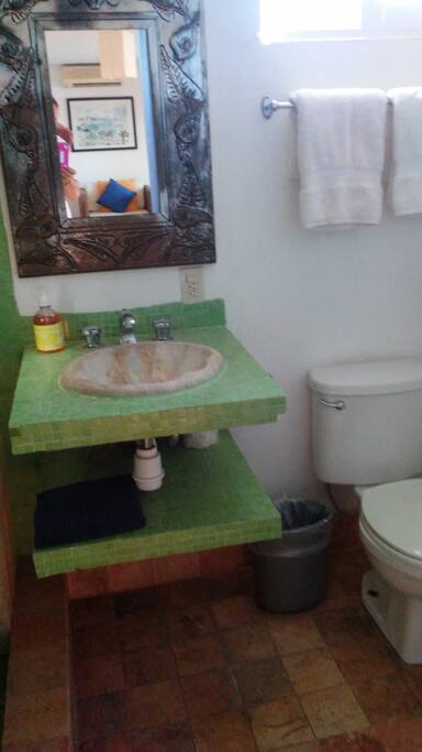 Master Bath for apartment
