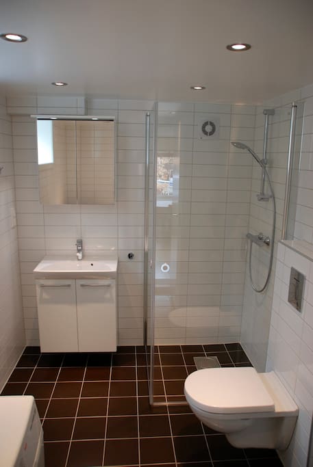Modern bathroom with delicate shower, heated floor and washing machine