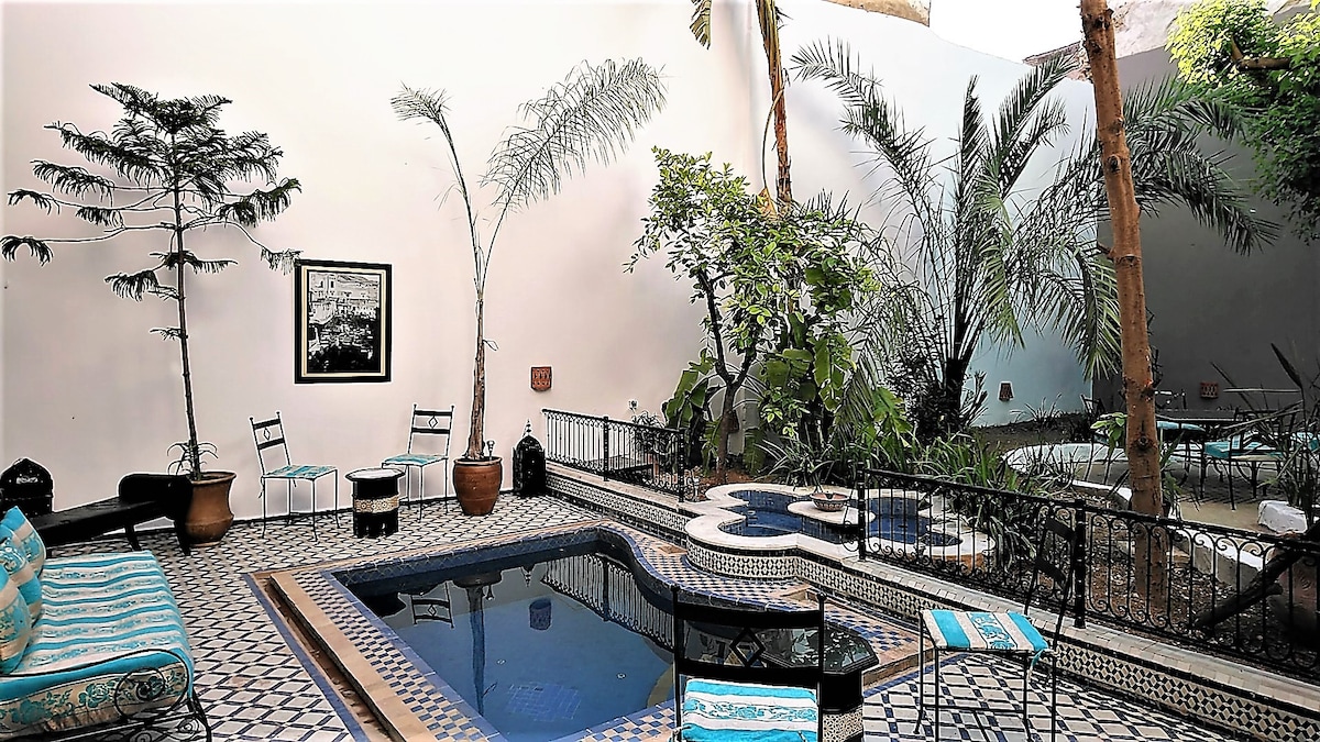 A tranquil garden area surrounds a small plunge pool, bordered by ornate tiles. Comfortable seating is provided by chairs with patterned cushions. Lush greenery, including tall palms and decorative plants, enhances the serene atmosphere, with a framed artwork visible on the wall.
