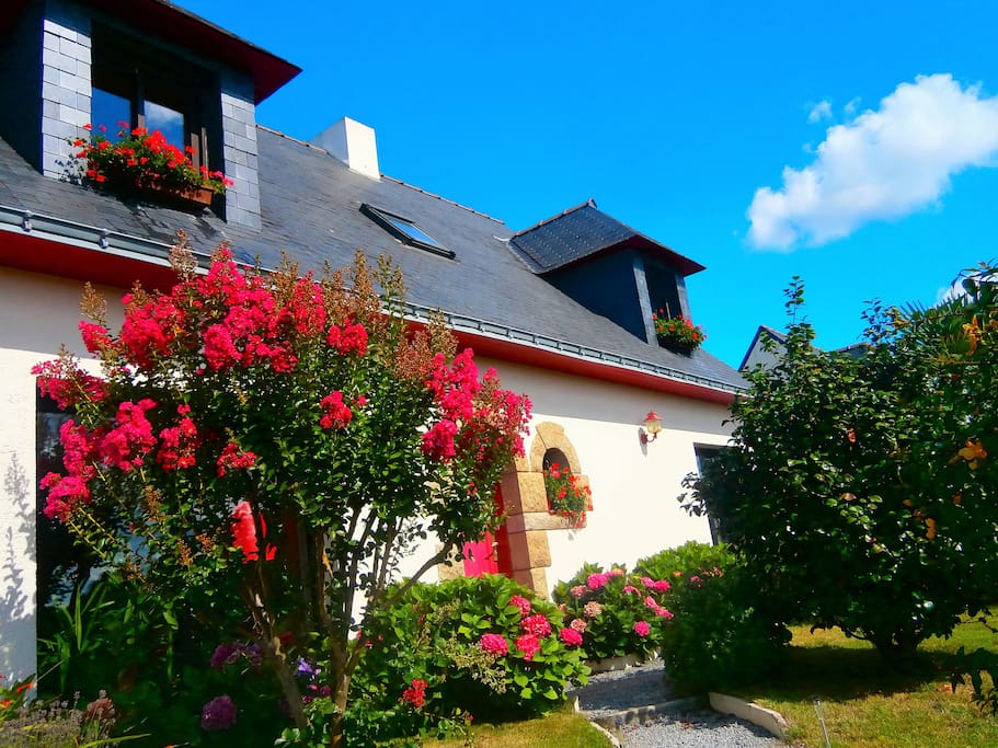 la maison coté rue