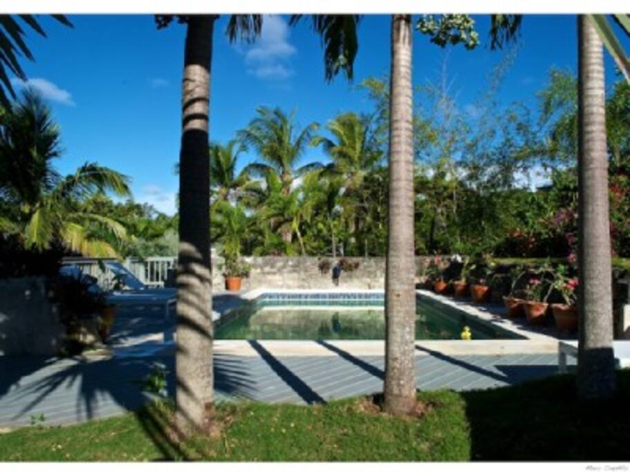 Shared pool