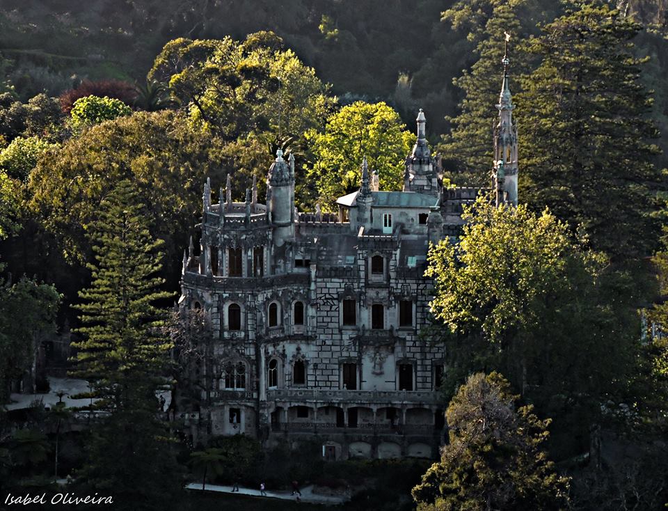 A historic building is surrounded by lush greenery, featuring intricate architectural details. Towering spires and ornate stonework highlight the structure, while vibrant trees frame the scene, creating a serene atmosphere. The setting is illuminated softly by natural light, enhancing the building's grandeur.