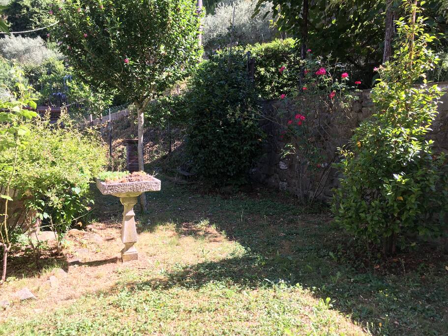 Il giardino in comune con noi