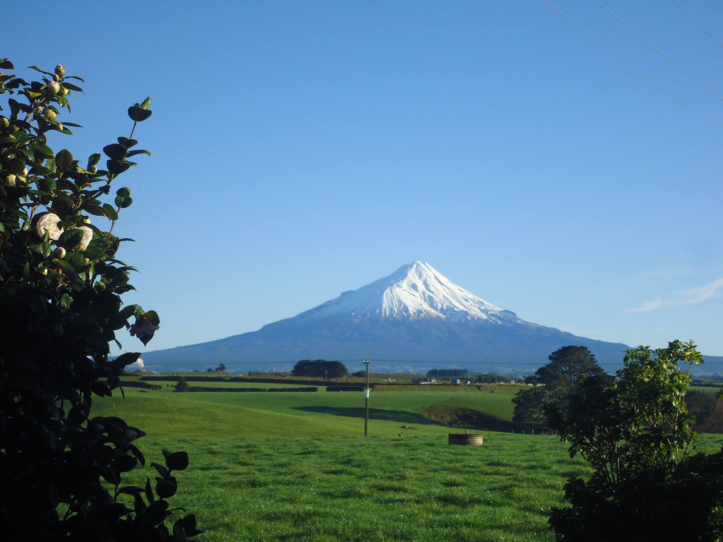 Hosted Taranaki Dairy Farm Tour 1
