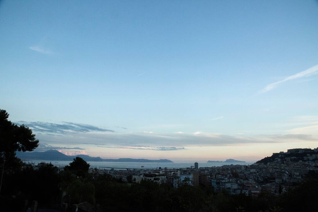 Panorama della città.
View of the city.