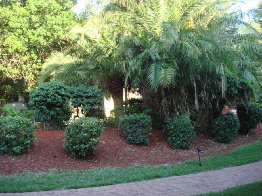 This is the view from the front of the condo.