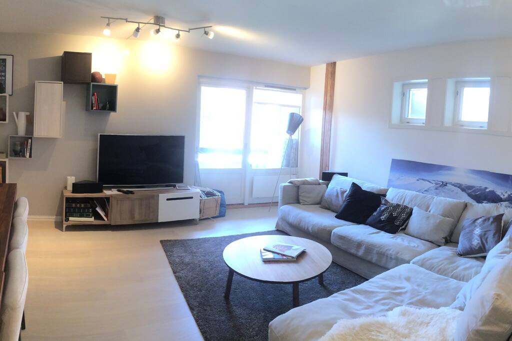 Spacious living room area with balcony, 55 inch TV, PS4, cable with 30+ channels and the sweetest sofa you have ever tried in your life.