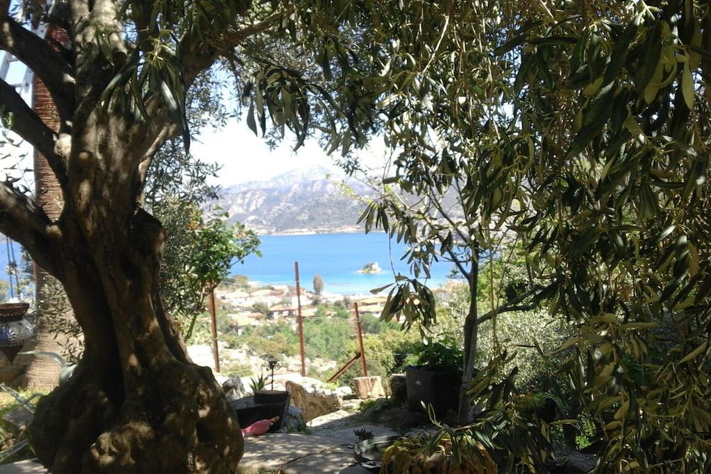 Little island in Selimiye bay
