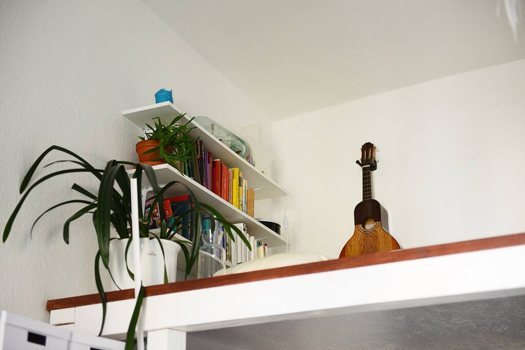 The loft bed
