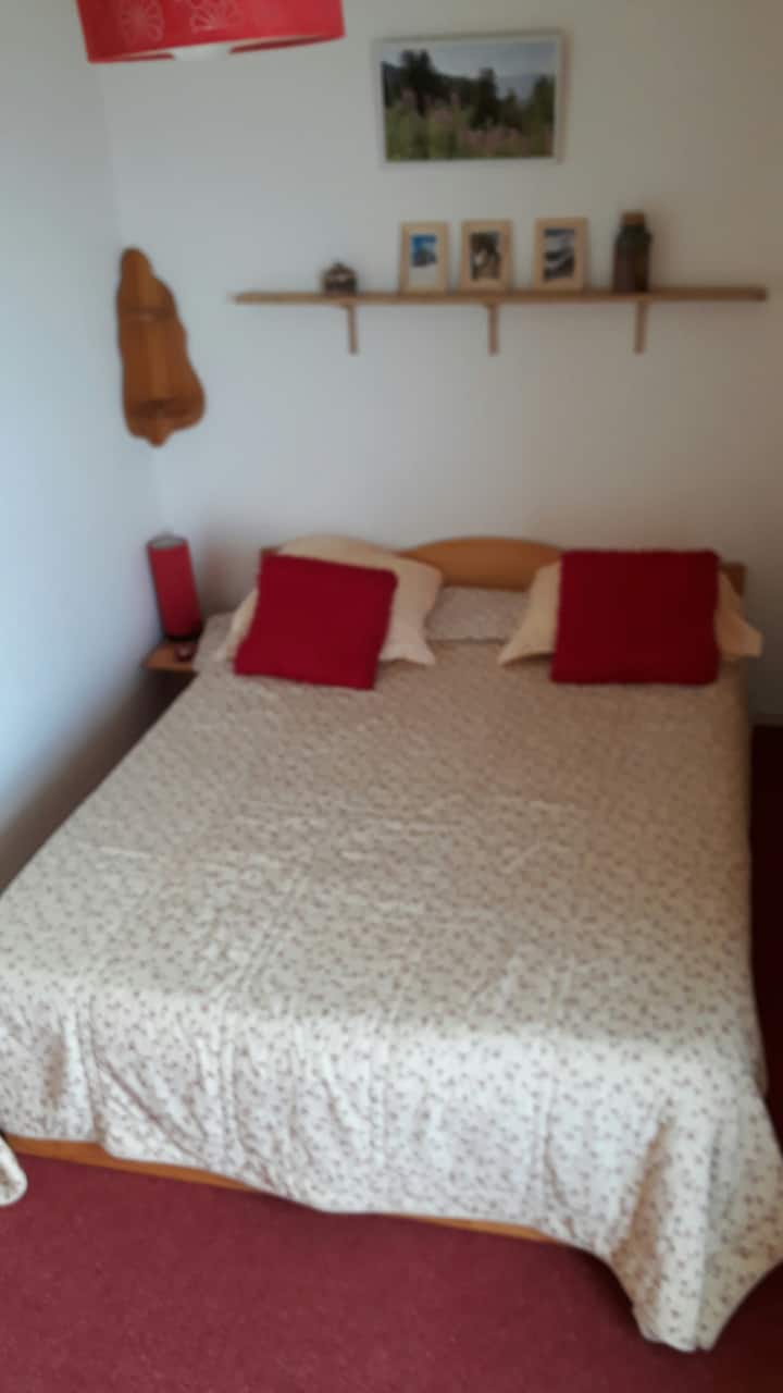 Habitación 1