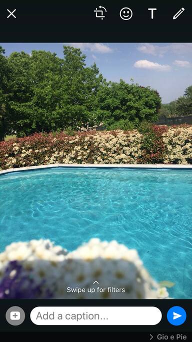 Pool in springtime
