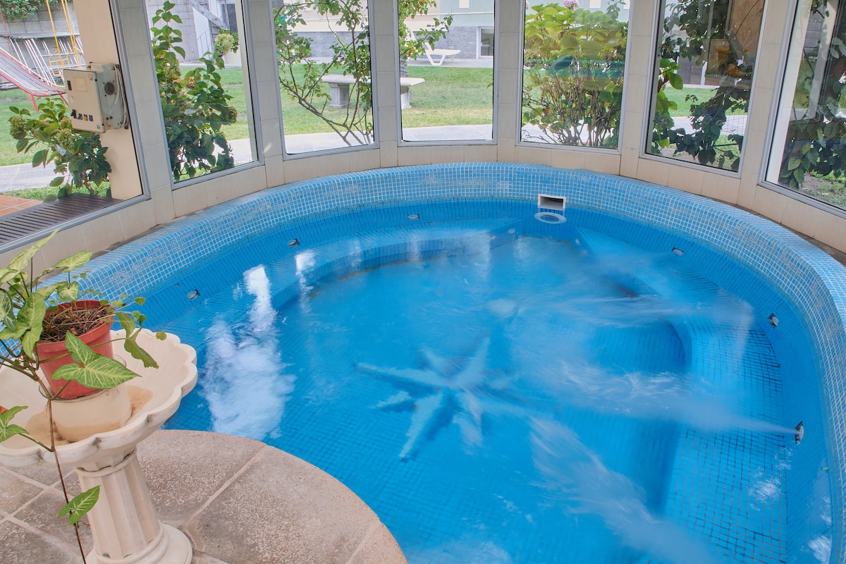 A circular hydromassage area is framed by large glass windows, allowing natural light to fill the space. The clear blue water is partially agitated, highlighting calming movement. Potted plants and a decorative fountain add touches of greenery around the inviting setting.