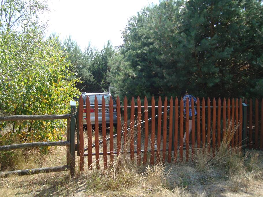 Camping wśród drzew