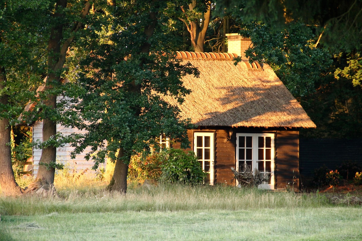 A thatched-roof cottage is nestled among tall trees, surrounded by lush greenery. The exterior features multiple windows providing natural light, inviting a serene atmosphere. Soft grass covers the ground, creating a peaceful retreat setting.