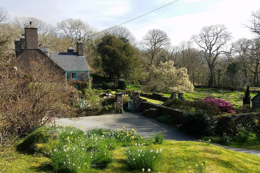 Carregfelen with Spring blooms!