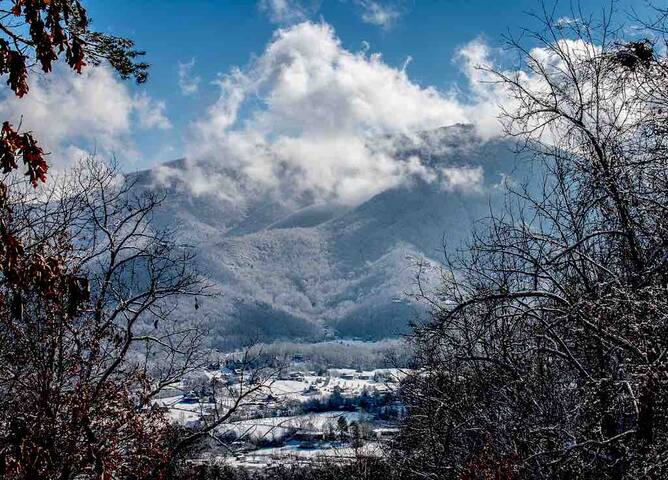 ↟Topridge Cabin↟ 
MOUNTAIN VIEWS!
No Deposit