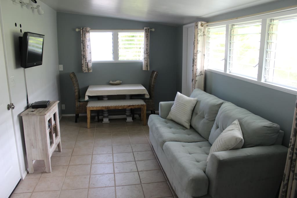Living area with pullout sofa