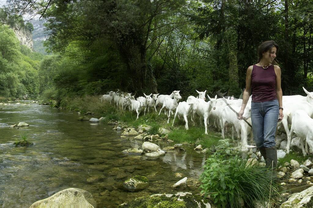 Nature préservée, paysages grandioses, randonnées pour tous niveaux d’accessibilité ; le Royans c'est aussi la rivière La Bourne pour pêcher la truite et la découverte culinaire avec ses noix, ses ravioles et ses nombreux fromages…