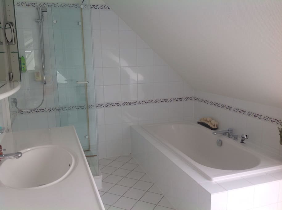 Large bathroom with shower and bathtub