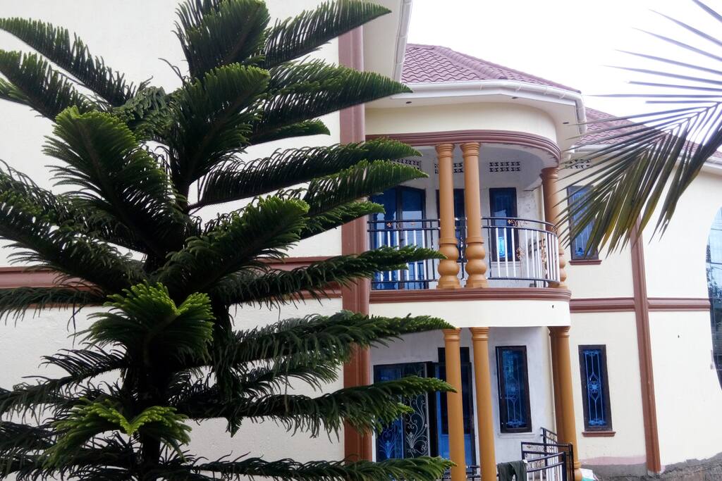 Front View