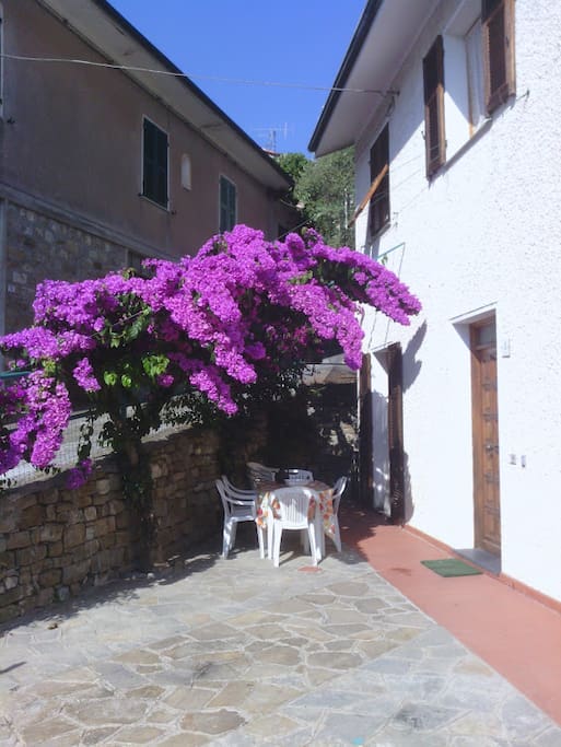Pranzare all'aperto sotto il bouganville