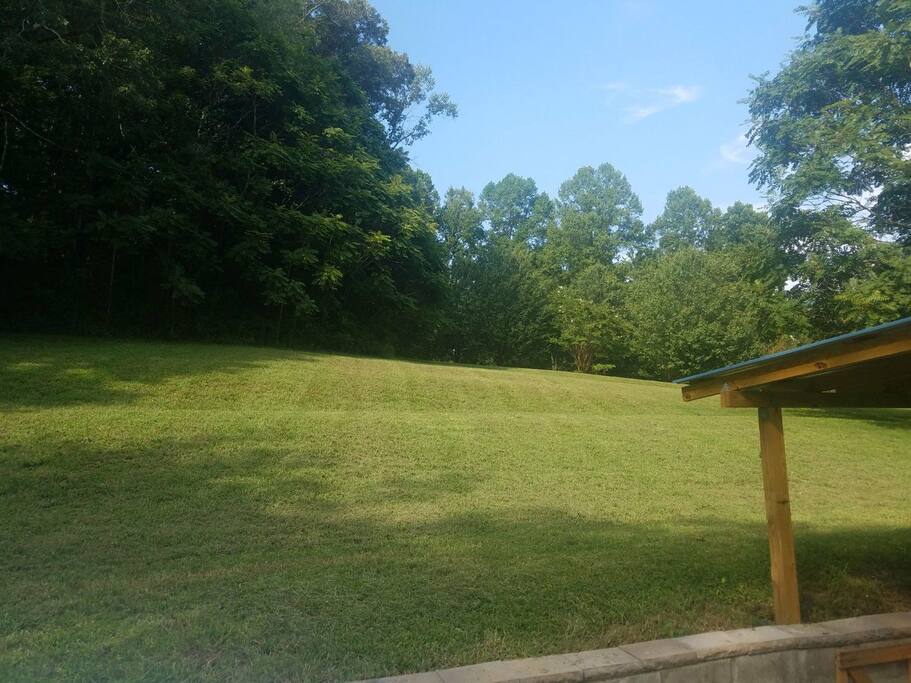 view of 1 acre behind the house