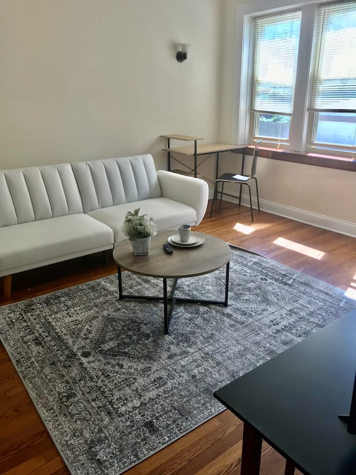 Entire City Apartment With Free Street Parking - Chicago