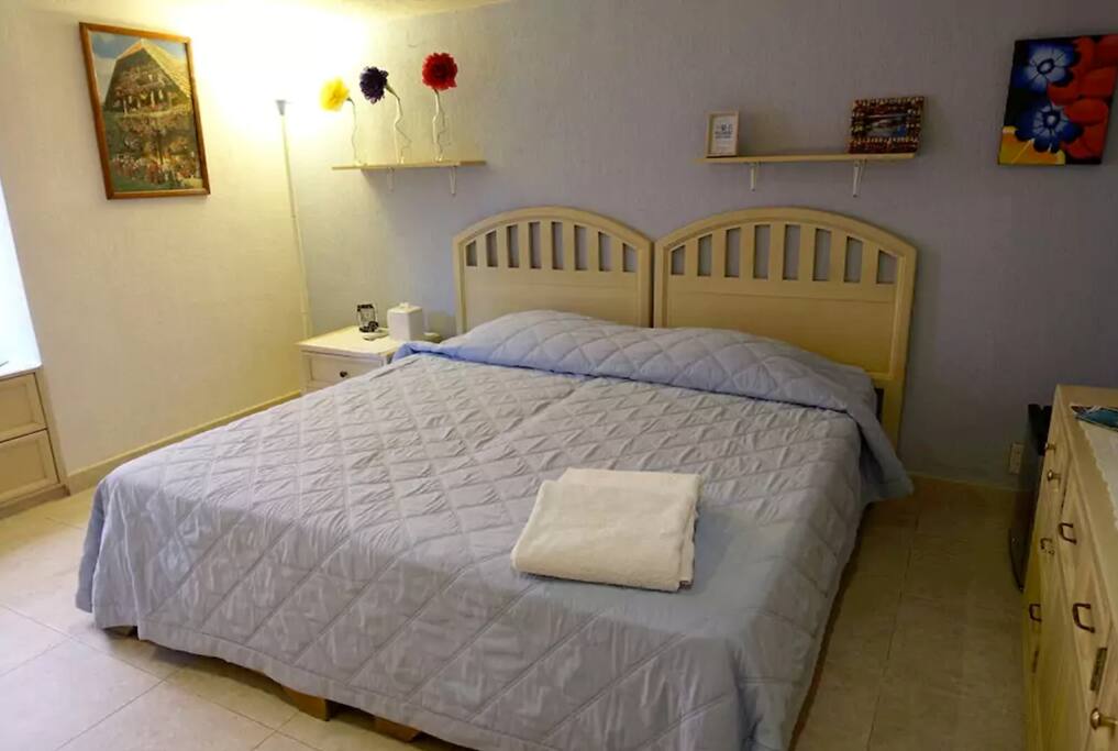 Habitación con una cama matrimonial / Room with one queen-size bed