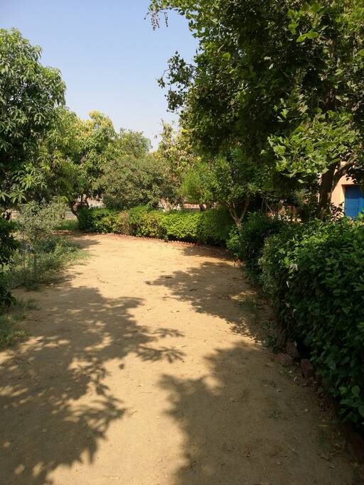 Alleyway inside the farm