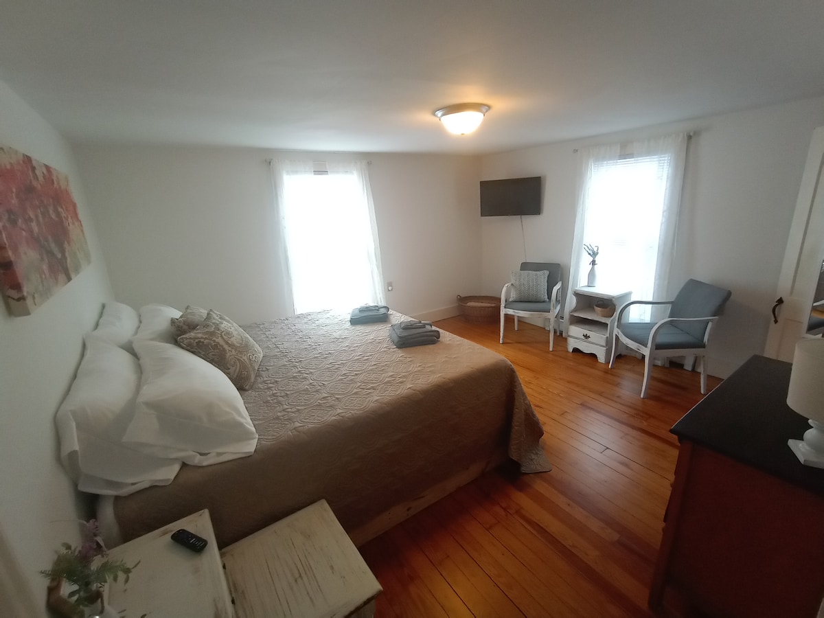 Chumba kikubwa sana cha kulala w/King bed, TV, AC, na kiota cha Google. Pakia na ucheze kwa ajili ya mtoto wako kwenye kabati w/shuka na mablanketi.