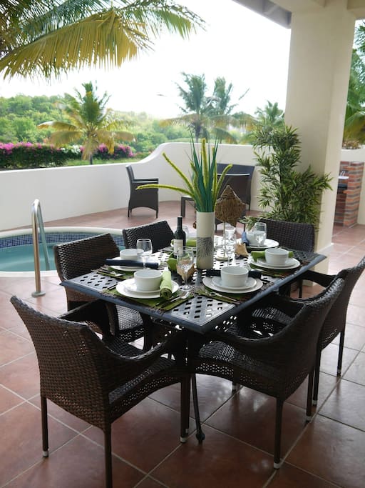 Expansive patio with plunge pool