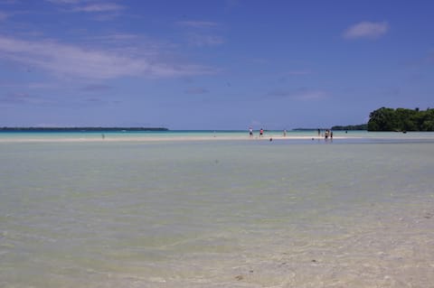 Entire Beach Front Resort -Tides Reach Beach House