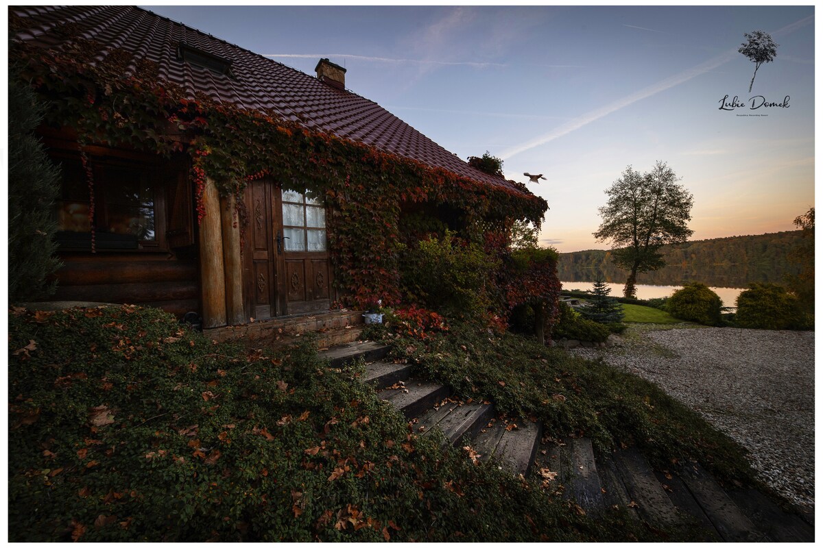 A wooden cabin is surrounded by lush greenery, with climbing vines decorating the exterior. Step-like wooden boards lead up to the entrance, while the tranquil lake and serene landscape are visible in the background under a soft evening sky.