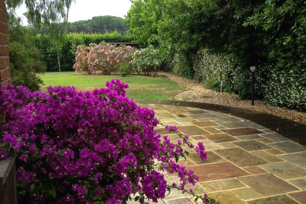 1000sqm garden with shade and sun