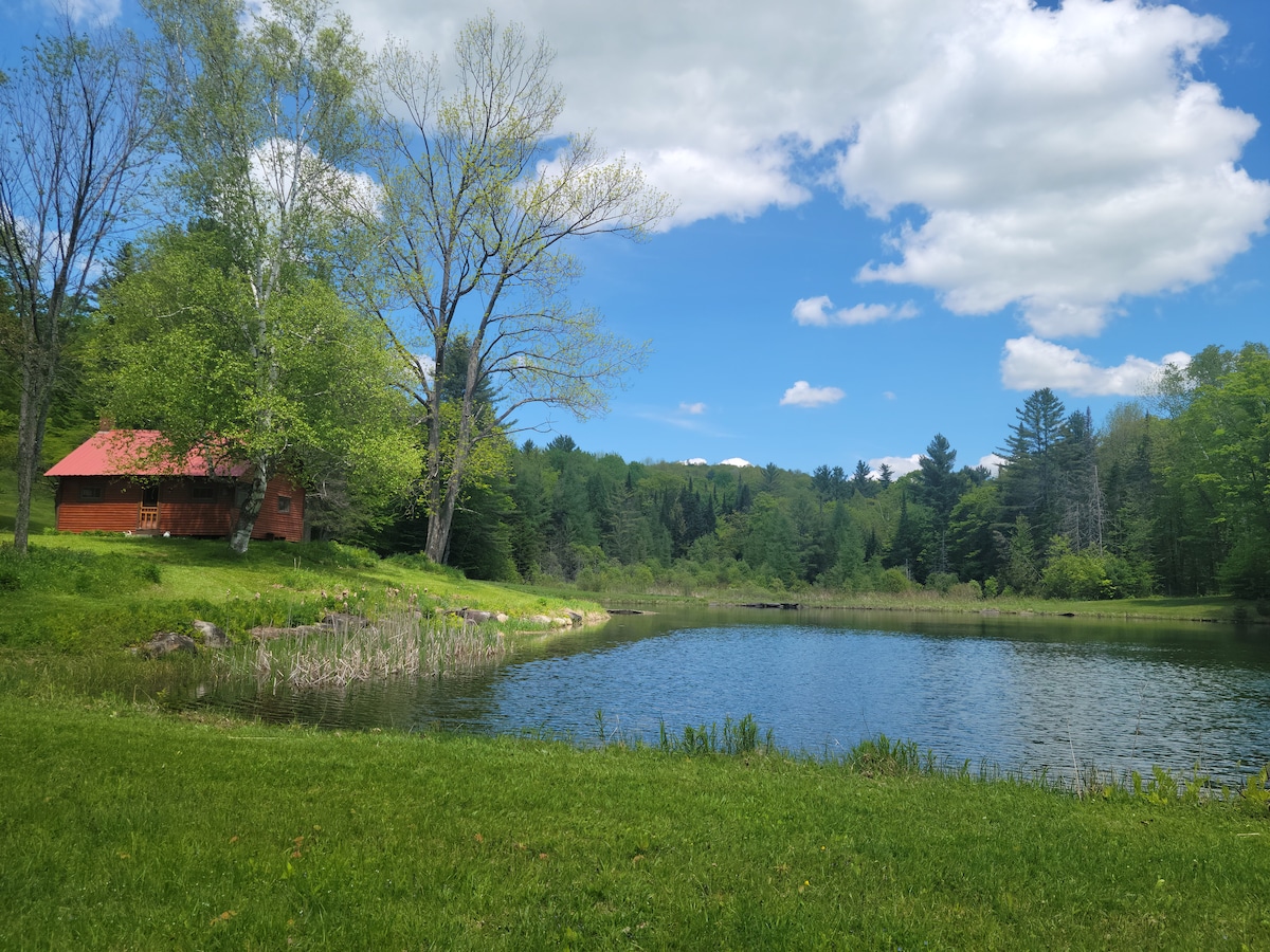 A cozy cabin with a vibrant red roof is set beside a serene pond, framed by lush greenery and trees. The sky above is clear with soft white clouds, enhancing the tranquil natural surroundings.