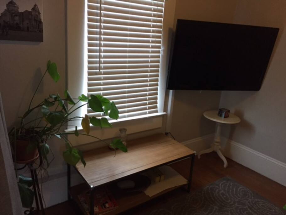 TV Room / Second Bedroom