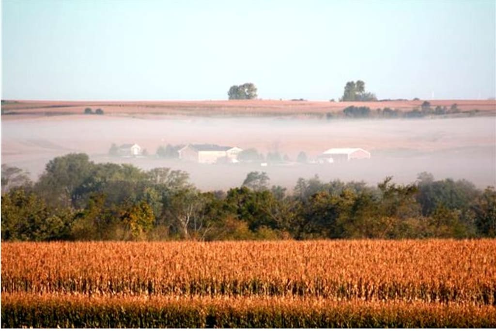 view from the SE looking at my property