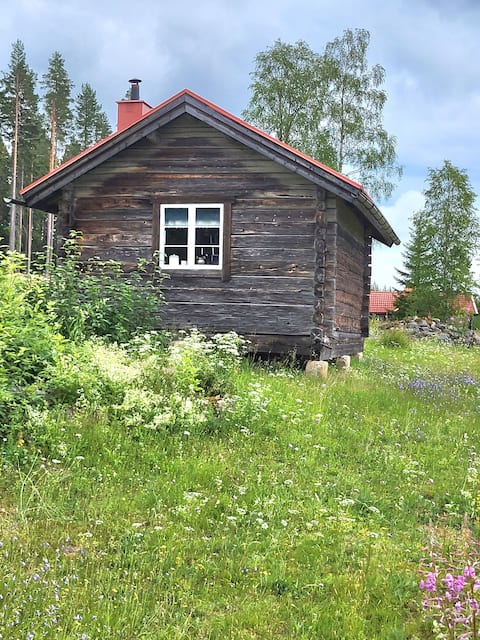 Top performing Airbnb: Fäbod by hiking trail in Dalarna in Dalarnas