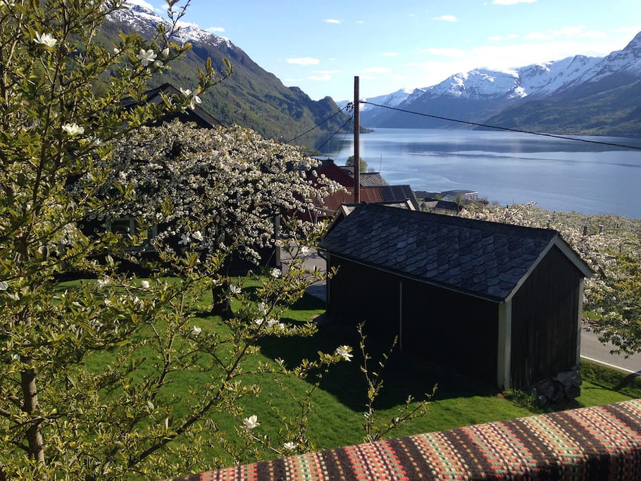 view from the terrace