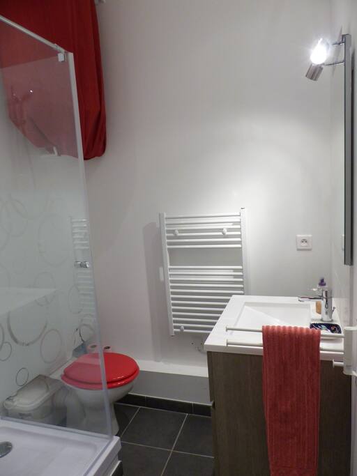 salle de bain avec douche et WC, refaite à neuf.