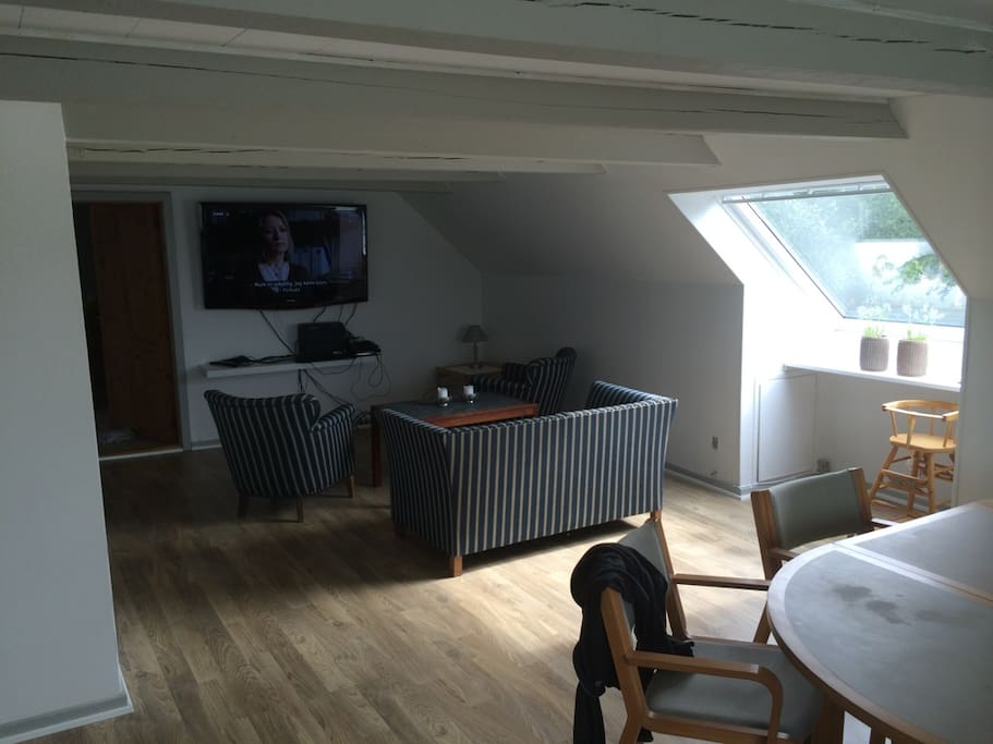 Tv stuen