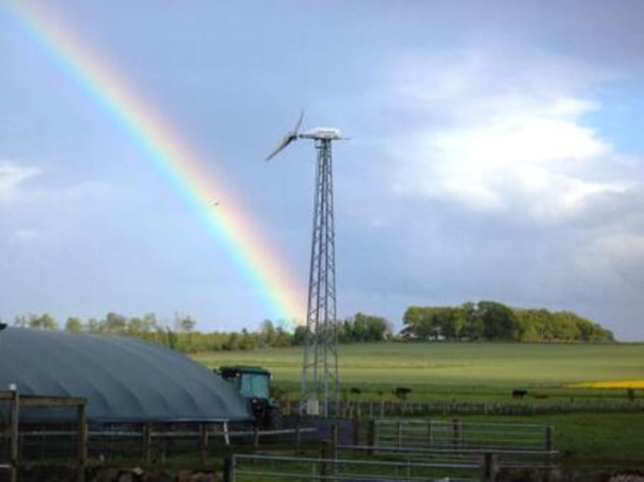 Our on-farm wind turbine that makes our electricity.